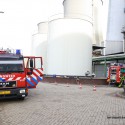 IMG_4425 IMG_4425