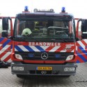 IMG_4428 IMG_4428